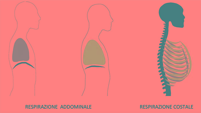 Respirazione addominale e respirazione costale - Faggian Clinic